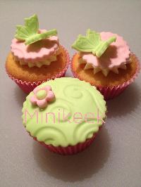 Butterfly pink/green